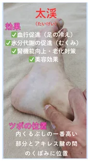 冷えやむくみ、腎機能の改善に「太渓」