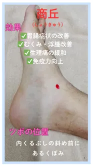 胃腸の不調や足首の捻挫に「商丘（しょうきゅう）」