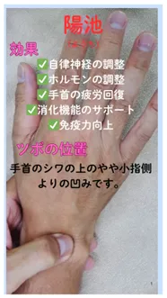 自律神経やホルモンの調整、手首の疲労に「陽池」