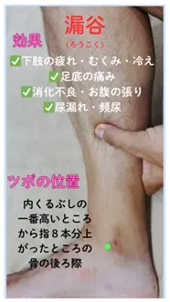 下肢の疲れやむくみ、消化器系のお悩みに「漏谷」