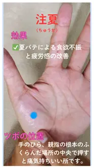 つらい夏バテに「注夏」