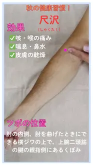 風邪や乾燥に負けないために「尺沢」
